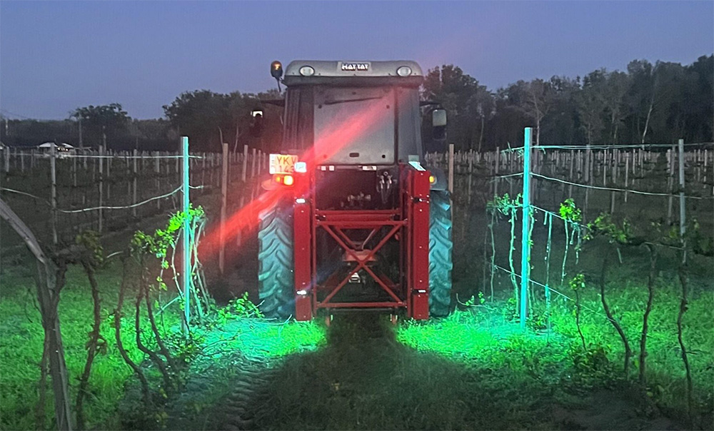 A kiskunhalasi szőlészetben már második éve alkalmazzák a traktorra szerelt UV-C gépet