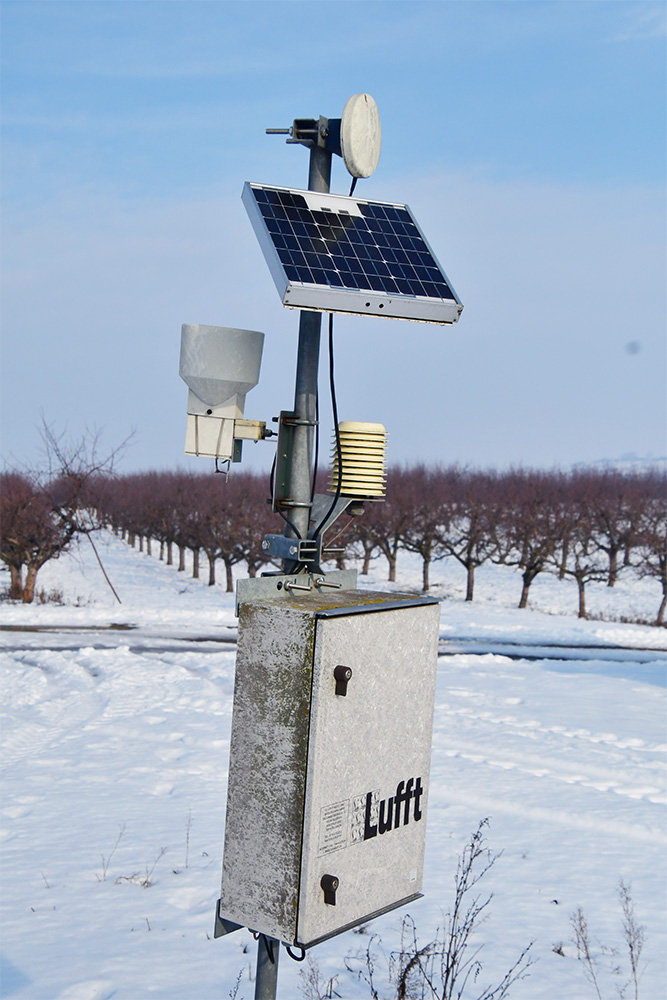 3. ábra | Automata meteorológiai állomás egy móri almaültetvényben, mely a növényvédelmi előrejelzésen túl a fagyvédelemben is alapvető eszköz. (Saját fotó)