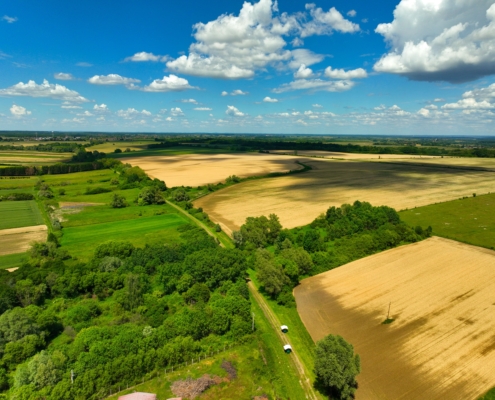 Vissza nem térítendő, egységköltség alapú átalánytámogatás igényelhető az Agrár-erdészeti rendszerek telepítése, ápolása és fenntartása című, KAP-RD21-RD22-3-26 kódszámú pályázati felhívás keretében a környezeti vagy klímavédelmi célú agrárerdészeti rendszerek telepítésére, ápolására és fenntartására.