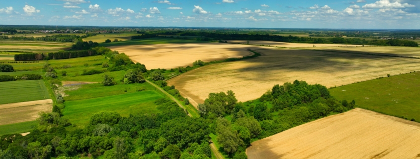 Vissza nem térítendő, egységköltség alapú átalánytámogatás igényelhető az Agrár-erdészeti rendszerek telepítése, ápolása és fenntartása című, KAP-RD21-RD22-3-26 kódszámú pályázati felhívás keretében a környezeti vagy klímavédelmi célú agrárerdészeti rendszerek telepítésére, ápolására és fenntartására.